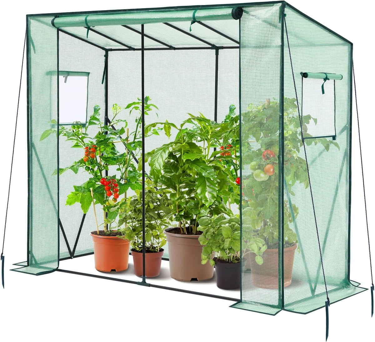 lean to greenhouse for outdoors: ohuhu portable tomato, main product view