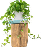 rovala silk plants for home decor indoor in, main product view