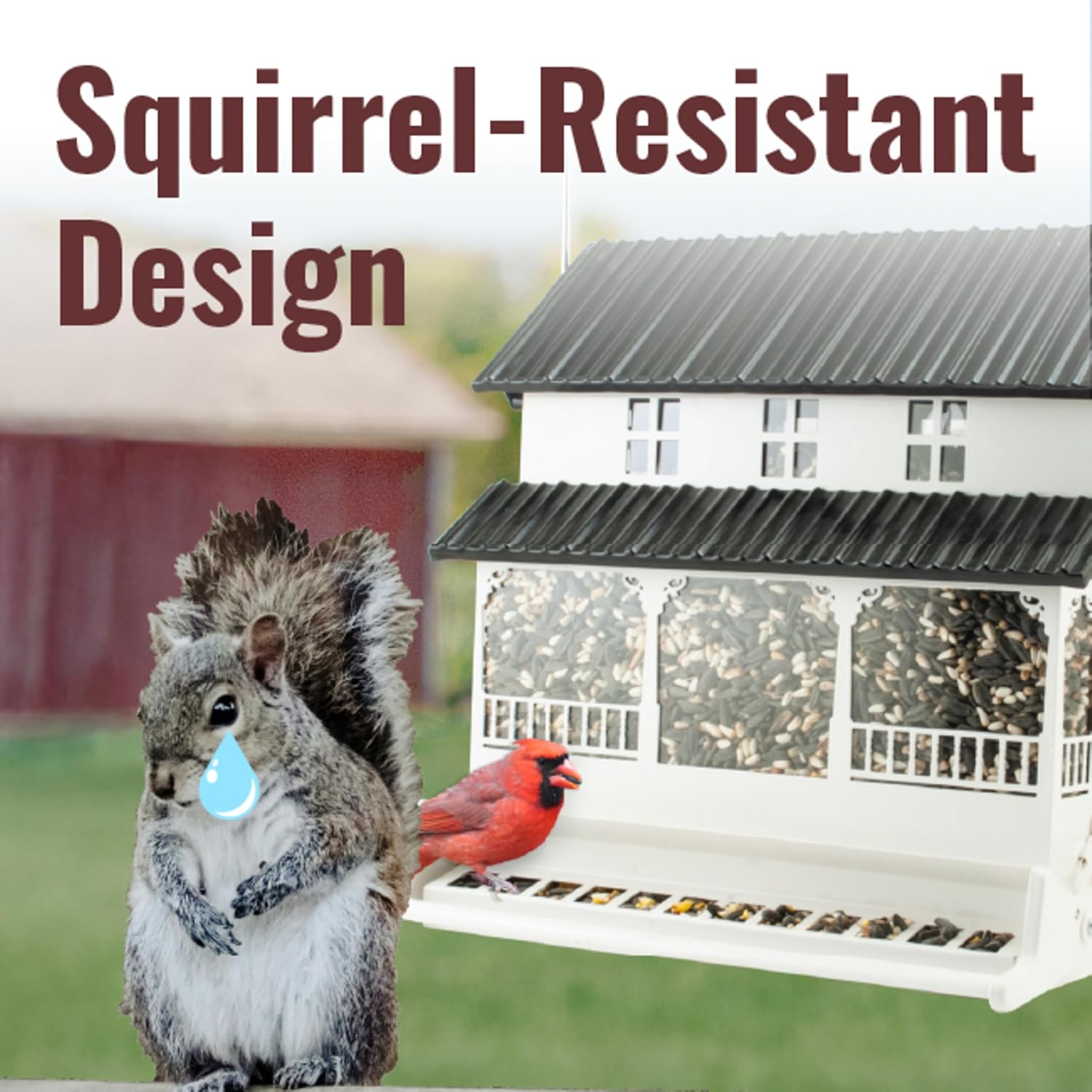 Woodlink Steel Hanging Mount Backyard Farmhouse Squirrel Resistant Wild Bird House Feeder with 10.5 Quarts Seed Feeding Capacity, Black and White