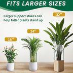 TCBWFY 14" Dx32 H Plant Supports Stakes for Large Heavy Plants,6 Pack Peony Supports,Heavy Duty 5mm Wire Peony Cages,Interlock Garden Supports Ring Border Support,Plant Support Cage for Rose Flower
