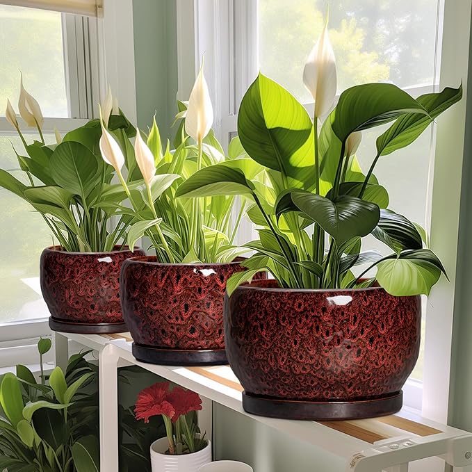 SQOWL Ceramic Flower Pots - 10 Inch Plant Pot Indoor, Ceramic Planter with Drainage Hole and Saucer, Round Decorative Large Planter Outdoor, Home Decor Living Room, Gifts for Plant Lovers, Red
