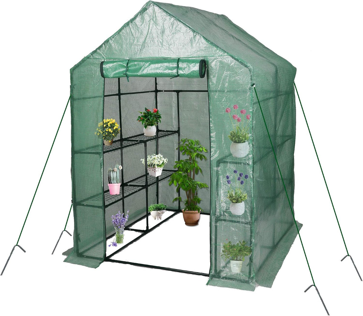 rapone mini greenhouse garden walk-in green house with, main product view