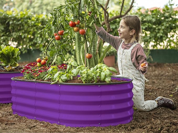 Plant & Plot Galvanized Raised Garden Beds Outdoor // 4×2×1 ft (2-Pack) Planter Raised Beds for Gardening, Vegetables, Flowers // Large Metal Garden Box (Purple) // Patented Tool-Free Design