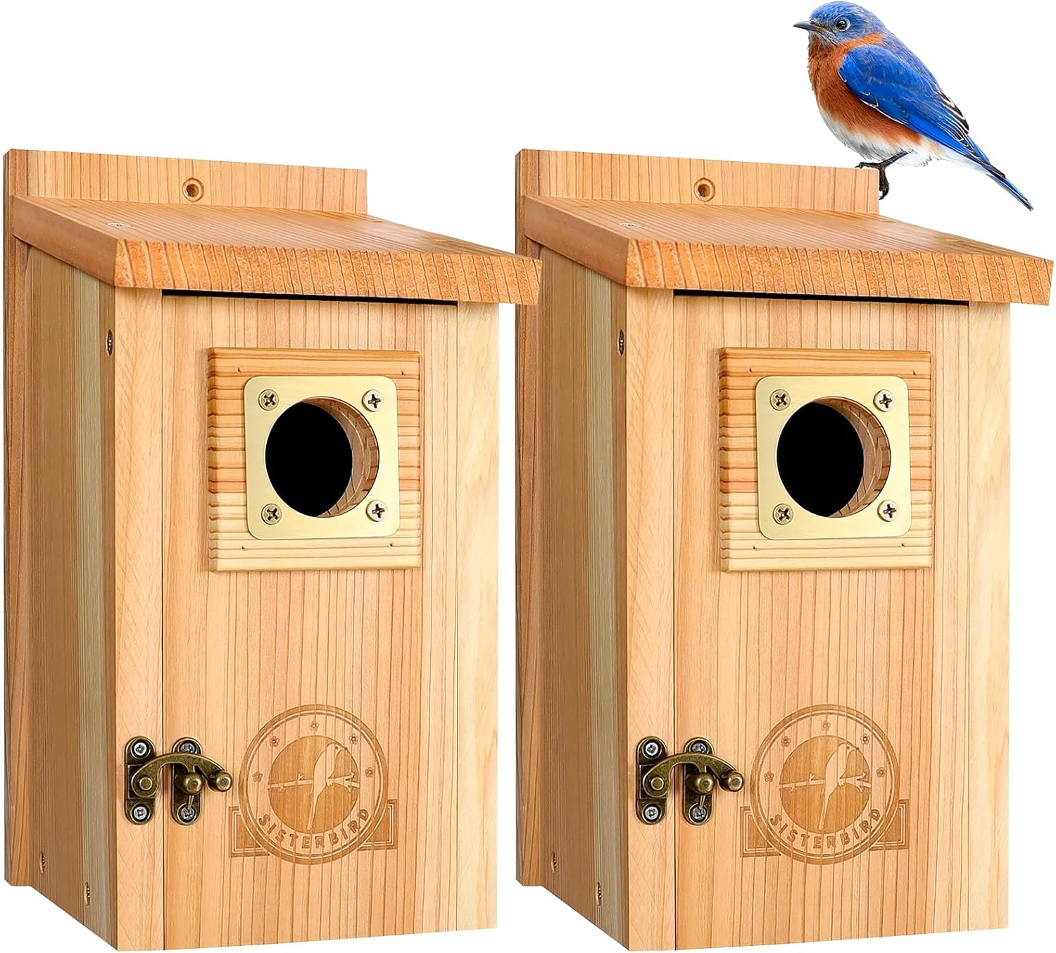 SISTERBIRD 2 Pack Bird Houses for Outside Clearance with Copper Guard, Cedar Bird House Outdoor, Bluebird Finch Swallow Wren Chickadee Assembly Required