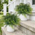 2set artificial fern potted plant for front door showing dimensions