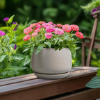 G EPGardening Ceramic Plant Pots - Round 6 Inch Modern Planter with Drainage and Plant Saucer Indoor Outdoor for Flower, Garden Decor, Gifts for Home, Retro Gray