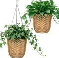 QCQHDU Self Watering Hanging Pots, 2 Pack 5.7 Inch Hanging Planters for Plants Indoor, Outdoor Flower Pots with Drainage Holes and 3 Hooks Chains for Garden Home (Gold)