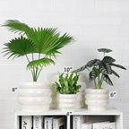 10 inch Ceramic Plant Pots for Indoor Plants, Rainbow Pearl Glaze Planter with Planters for Plants with Drainage Hole, Orchid Pots, Succulent Pot, Large Flower Pot (White)