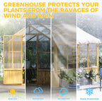 lynslim 8 x 8 ft outdoor wooden greenhouse, view 9
