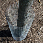 YARDGARD 1/4 Inch Mesh Welded Wire Fence Hardware Cloth, 23 Gauge Galvanized Steel for Garden Protection, Small Animal Control, Cages and Craft Projects, 48 Inches x 10 Feet