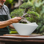 Bonsai Pots 13 Inch - Ceramic Succulent Pots with Drainage Hole Decorative Plant Pot Indoor Large Outdoor Planter Modern Flower Pot for Home Garden Office Room Decor Gray