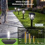 Solar Pathway Lights Outdoor 10 Pack, Cool White 6000K Solar Lights | Auto On/Off Waterproof Energy Saving Outside Landscape Lights for Walkway, Yard, Garden & Driveway