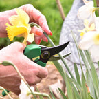 Pri Gardens 8 Inch Garden Pruner with a SK5 Carbon Steel, Non-stick, Rust Resistant Blade. Adjustable for Small and Large Hands