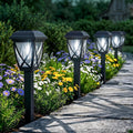 Solar Pathway Lights Outdoor 10 Pack, Cool White 6000K Solar Lights | Auto On/Off Waterproof Energy Saving Outside Landscape Lights for Walkway, Yard, Garden & Driveway