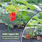 4 Sets Strawberry Plant Support with Mesh Plant Cover,Strawberry Growing Racks Sets with Iron Plant Nails and Storage Bag for Garden Strawberry Vegetables(White Net - Square)