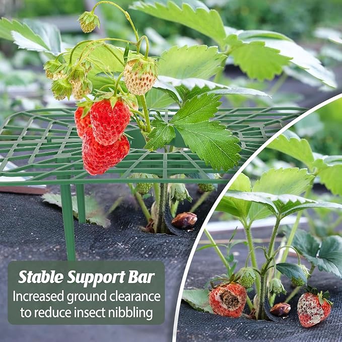 4 Sets Strawberry Plant Support with Mesh Plant Cover,Strawberry Growing Racks Sets with Iron Plant Nails and Storage Bag for Garden Strawberry Vegetables(White Net - Square)