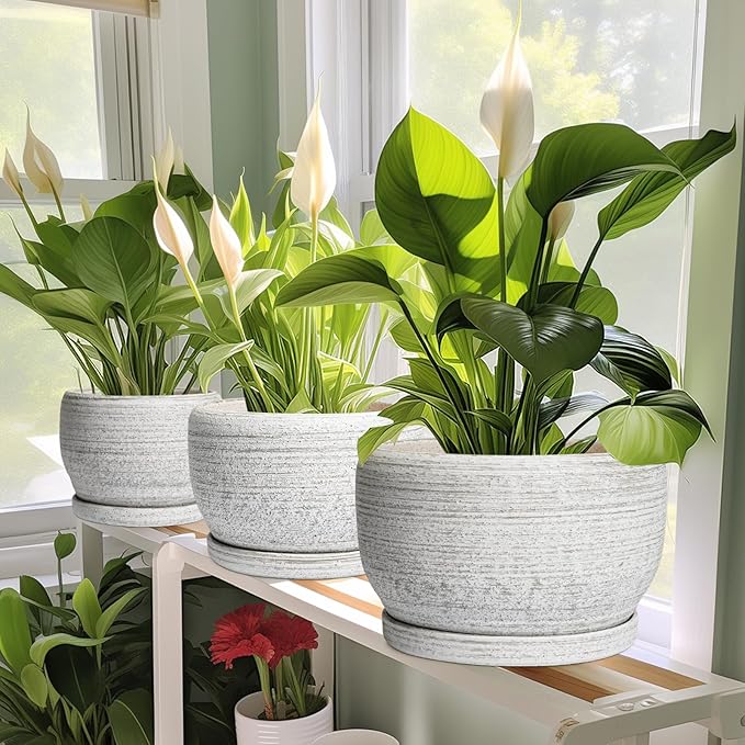 SQOWL Ceramic Plant Pots - 8 inch Planter for Indoor Plants, Round Flower Pot with Drainage Hole and Plant Saucer, Modern Decorative Ceramic Planter Outdoor, Home Room Decor, Garden Gifts, Gray