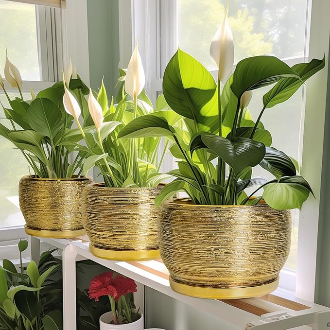 SQOWL Ceramic Planter for Indoor Plants - 10 Inch Plant Pot with Drainage Hole and Saucer, Modern Round Planter Outdoor, Large Decorative Flower Pot, Apartment Decor, Birthday Gifts, Gold