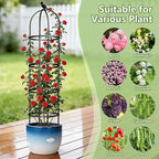 Obelisk Trellis for Garden Plants Climbing: 6ft Rustproof Metal Pipe with Plastic Coated - Potted Plant Climber Support for Outdoor Indoor Grape Vines Vegetable Fruits Flowers (2PC)