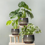 G EPGardening 7 Inch Ceramic Pots for Plants - Ceramic Planters for Indoor Outdoor Plants, Round Plant Pots with Drainage and Saucer, Modern Planter, House Decor, Plant Lover Gifts, Speckled Brown
