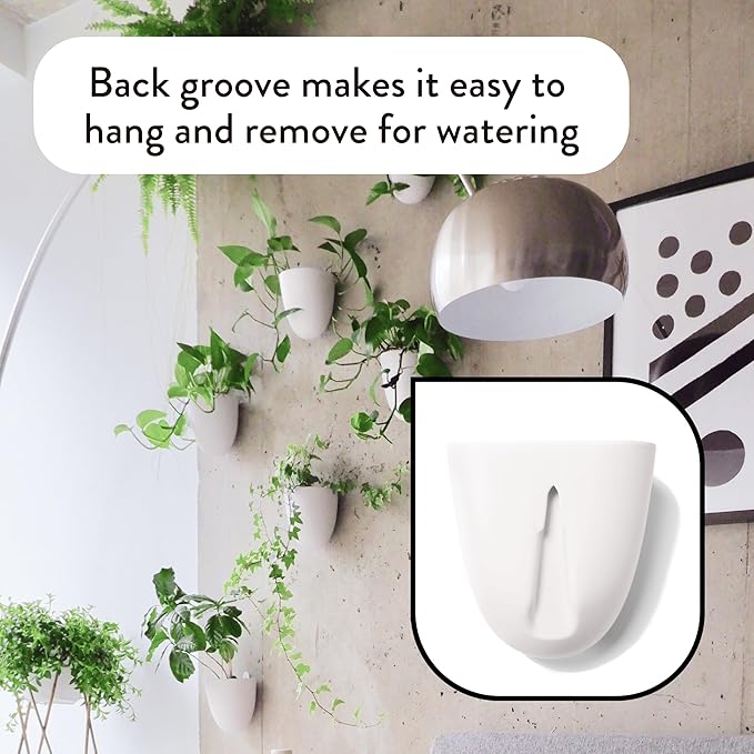 Make Good PlantPod Luxe - Self-Watering Wall Planters (Set of 6) - Easy to Water and Install - Lightweight - Design Your Own Vertical Garden - Wall Planters for Indoor Plants