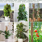 Moss Pole 47.5 Inch - Monstera Plant Support, 4 Packs 16 Inch Plant Stakes for Indoor Plants Coco Coir Moss Pole Sticks for Climbing Potted Live Plants, Pothos, Philodendron, with Garden Ties