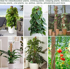Moss Pole 36 Inch - Monstera Plant Support, 2 Pack 20.5 Inch Plant Stakes for Indoor Plants Coco Coir Moss Pole Sticks for Climbing Potted Live Plants, Pothos, Philodendron, with Garden Ties