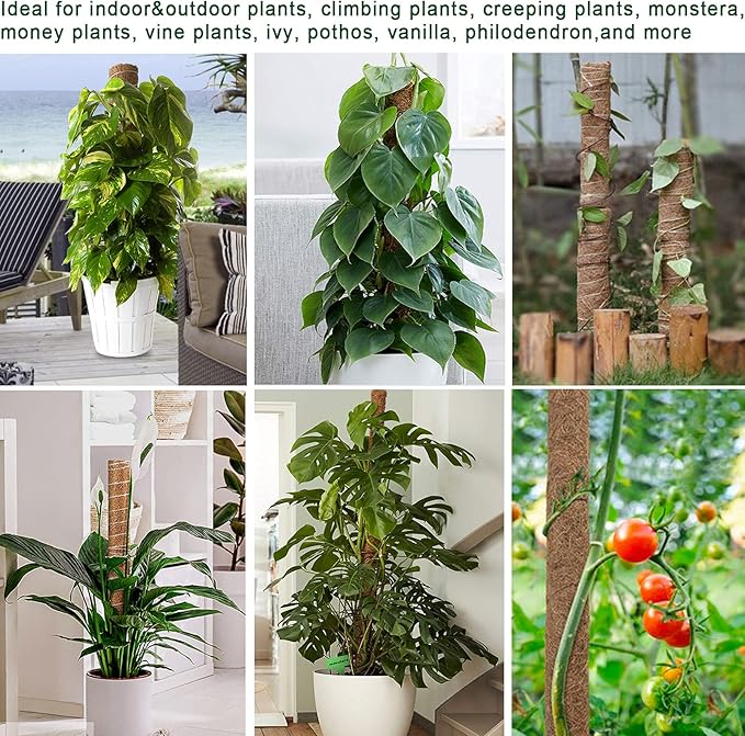 Moss Pole 36 Inch - Monstera Plant Support, 2 Pack 20.5 Inch Plant Stakes for Indoor Plants Coco Coir Moss Pole Sticks for Climbing Potted Live Plants, Pothos, Philodendron, with Garden Ties