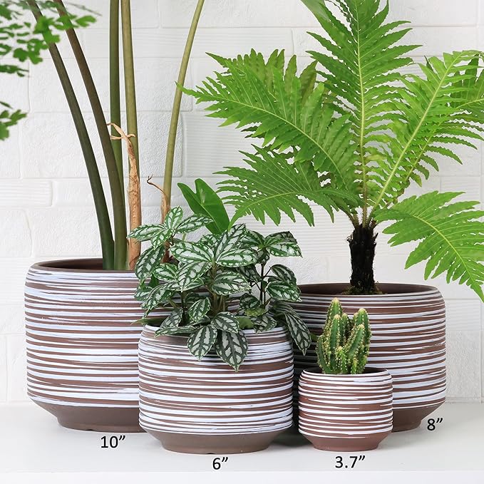 Mini Succulent Planter Set – 3.7 Inch Ceramic Pots with Drainage for Indoor Plants, Small Decorative Flower Pots for Cactus and House Plants, Set of 4