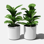 Veradek Demi Series Round Planter for Porch, Patio, Backyard | Durable Plastic-Stone Composite Material | Modern Décor for Tall Plants, Flowers