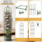 Garden Trellis for Climbing Plants, Tomato Cage, Rose, Flowers, Grape, Pea, Cucumber Trellis, Rustproof Plastic Coated Metal Plant Support for Potted Plants Indoor Outdoor - 1PC Plant Trellis