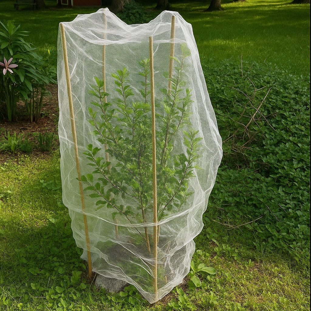 fruit tree protection bags 4x4.5 ft | pack on a desk or shelf