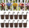 HowRU Hanging Flower Pots, Railing Planter Box for Outdoor Plants 12 Pack 5 Inch Metal Hanging Planters with Detachable Hooks Balcony Window Fence Garden Decoration Flower Boxes(Bronze(5in))