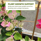 16Inch 5Pack Bamboo Trellis for Climbing Plants, Garden Ladder Trellis for Potted Plants Indoor, Fan Shaped Small Plant Support Trellis for HousePlants Ivy Vine Monstera 3-4