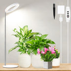 Hywyimlait 6.3" Indoor Plant Growth Lights, Full Spectrum Plant Growing Lights, 8.2"-37.4" Height Adjustable Desk Grow Lamp with Base and Ground Stake, Auto Timer 4/8/12/18H, 3 Light Modes, 10 Dimming