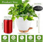 6 Inch Self Watering Pots for Indoor Plants (5-Pack) – Small Plastic Planters with Water Window, Drainage Holes & Trays, Indoor Outdoor Flower Pots for Herbs, Succulents, Home Garden Decor (White)