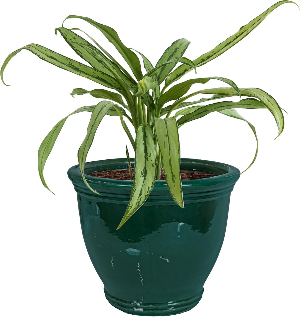 sunnydaze studio 15" round ceramic planter, dark green, main product view