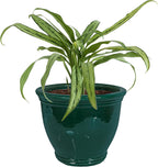 sunnydaze studio 15" round ceramic planter, dark green, main product view