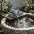 Outdoor Pond Spitters for Small Ponds, Garden Fountain Statue with Water Pump, Animal Water Feature for Koi Ponds Yard Landscape Decor