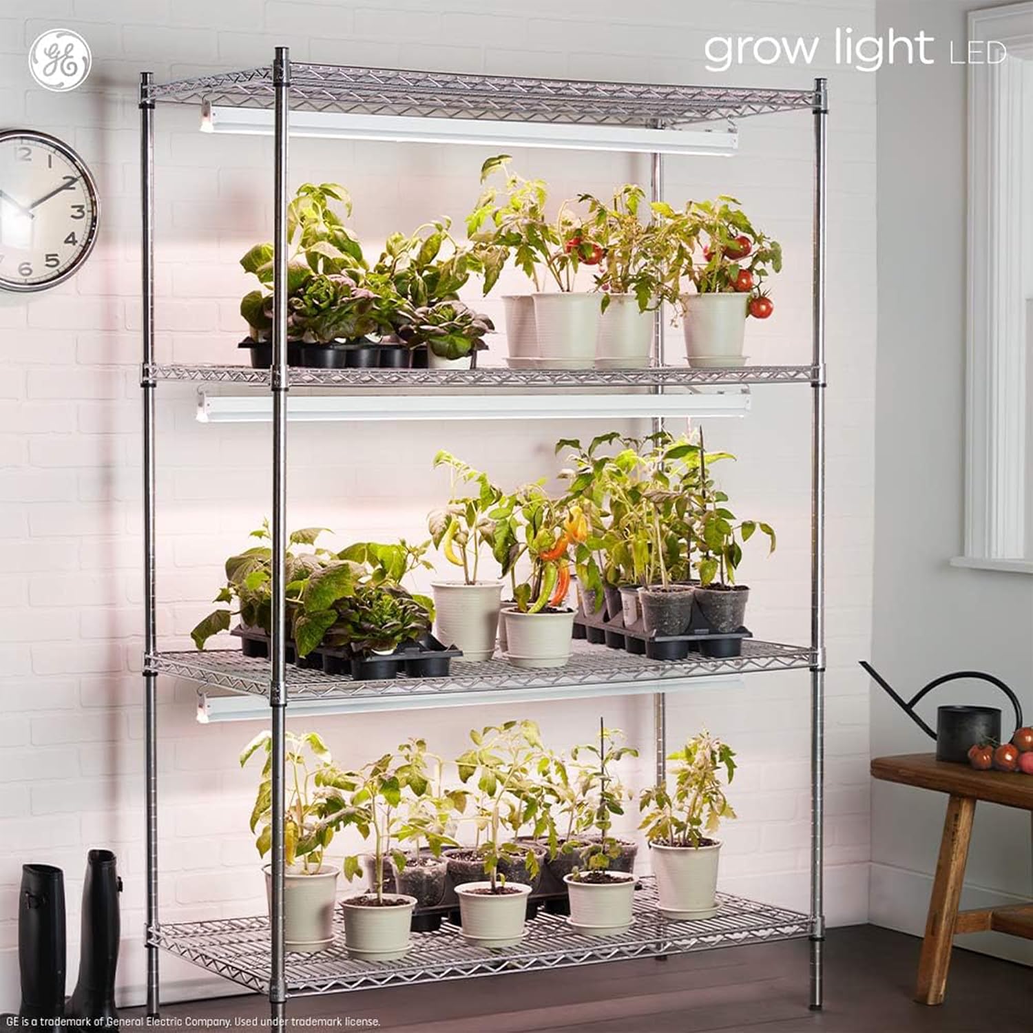 GE Grow Lights for Indoor Plants, BR30 Indoor Floodlight, 2 Pack | LED Light Bulbs for Flowers and Fruit, Advanced Red Light Spectrum, 25, 000 Hours Lifespan, 15 PPF, Packaging May Vary