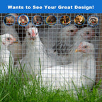 Hardware Cloth 1/2 in 48 x 100 ft 19 Gauge Wire Mesh | Galvanized welded wire mesh, Stronger Welds, Uniform Mesh, Chicken Coop, Garden Fence, Gopher Barrier