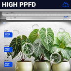 Barrina T5 Grow Light, 5000K White Full Spectrum LED Grow Light 2ft, 8 Pack | 80W (8 x 10W), Plant Grow Lights for Indoor Plants, Seedlings, Greens, Shelves, Plug and Play, Linkable, Separate On/Off