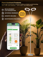 48W Grow Lights for Indoor Plants, Full Spectrum LED Plant Light with Stand | Dimmable, 3 Lighting Modes, 23"-79" Adjustable Height, Plant Growing Lamp with 3/9/12/16H Timer, White Dual Heads Floor Lamp