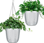 QCQHDU Self Watering Hanging Pots, 2 Pack 5.7 Inch Hanging Planters for Plants Indoor, Outdoor Flower Pots with Drainage Holes and 3 Hooks Chains for Garden Home (Clear)