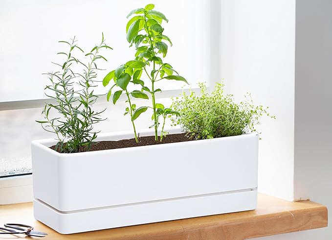 D'vine Dev 12 Inch Window Box Planter, Rectangle Plastic Herb Planter with Drainage Holes and Saucer, Indoor Succulent Cactus Vegetable Pot for Windowsill, Garden Balcony, White, Set of 1, 76-X-A-1