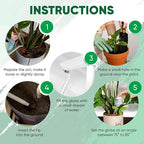 Clear Plant Watering Globes Set of 6 - Small Self Watering Globes for Indoor & Outdoor Plants - Automatic, Glass Watering Bulbs for Daily Use, Plant Watering Devices
