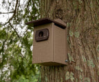 Recycled Poly Lumber Standard Bluebird Bird House (Brown and Brown)
