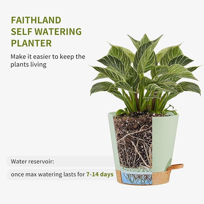 FaithLand 2-Pack 10 Inch Planter Pots for Indoor Outdoor Plants, Self Watering Flower Pots with Deep Reservoir, Green with Terracotta …