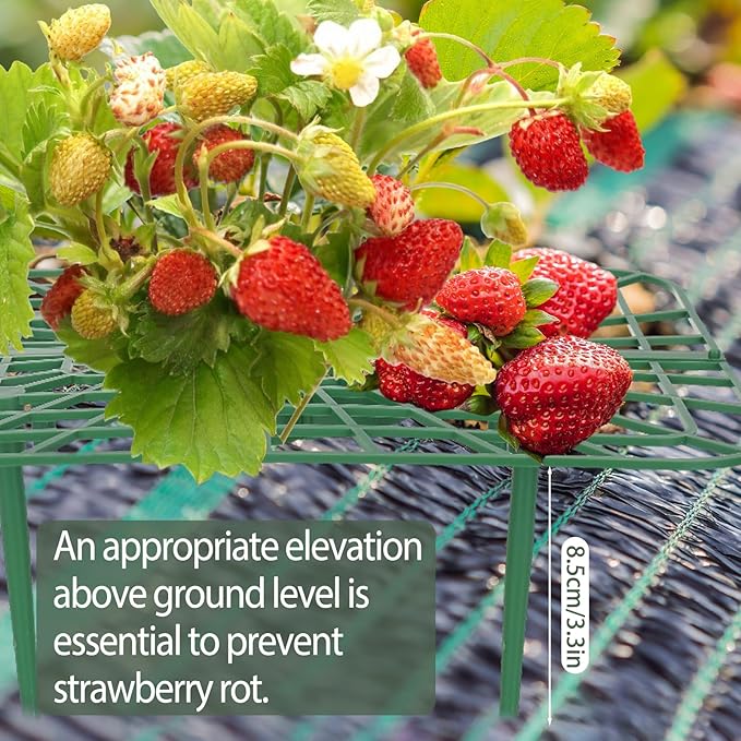 4 Sets Strawberry Plant Support with Mesh Plant Cover,Strawberry Growing Racks Sets with Iron Plant Nails and Storage Bag for Garden Strawberry Vegetables(White Net - Square)