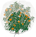 agfabric bird netting 120" hx120 w garden netting, main product view